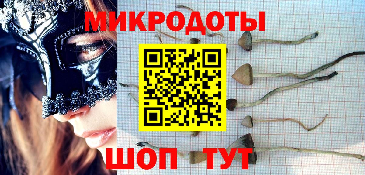 Тихвин  Галлюциногенные грибы MAGIC MUSHROOMS  Галлюциногенные грибы мицелий  Вход с VPN 