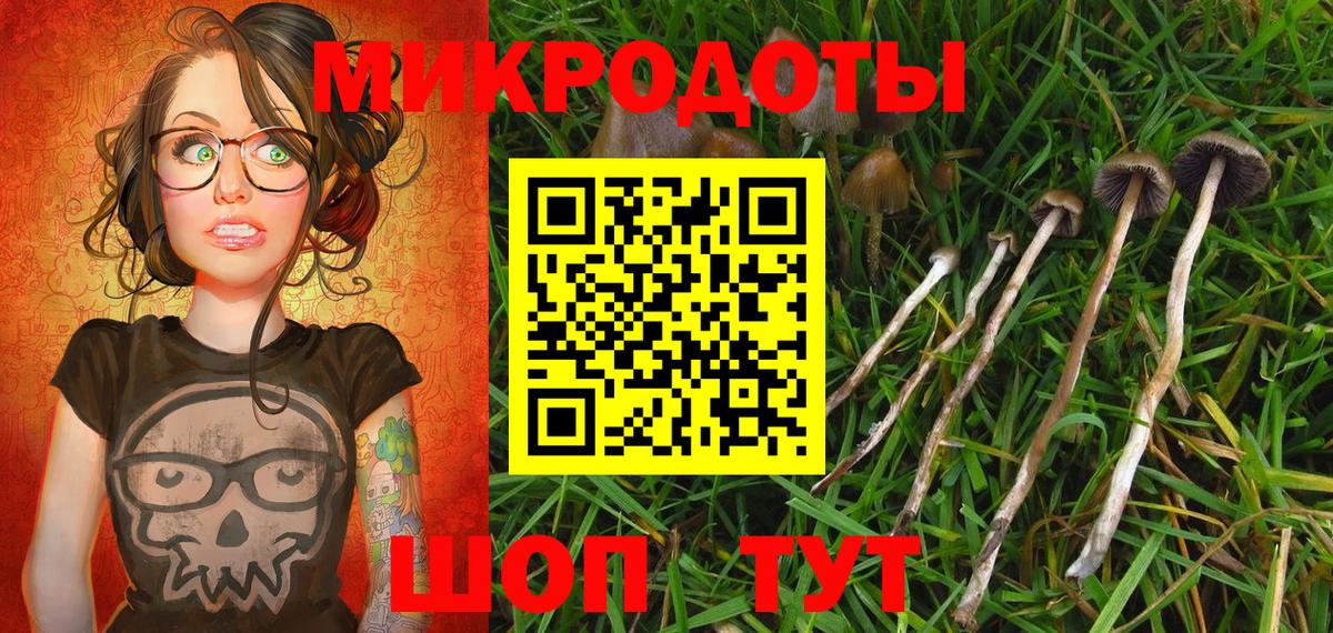 Псилоцибиновые грибы ЛСД Тихвин