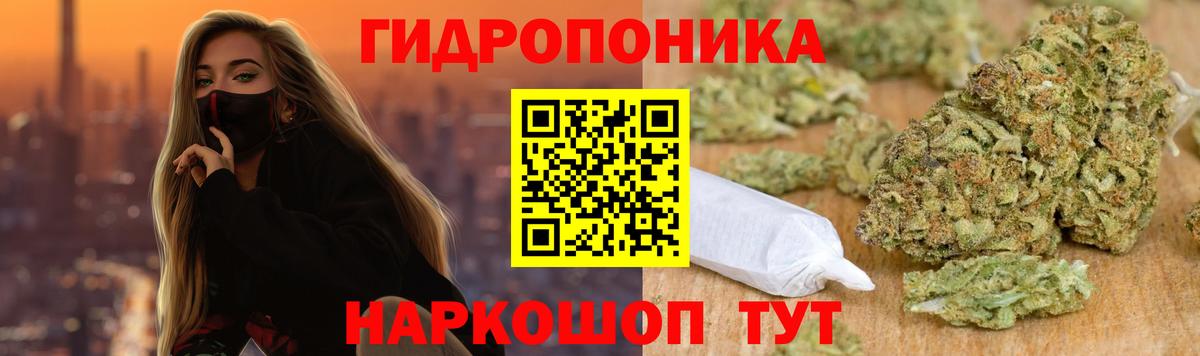 Шишки марихуана VHQ  Вход с VPN  МАРИХУАНА Amnesia  МАРИХУАНА семена  Шишки марихуана White Widow  Тихвин 